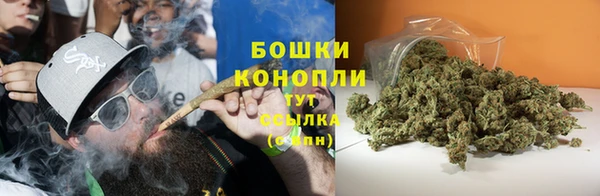 apvp Гусь-Хрустальный