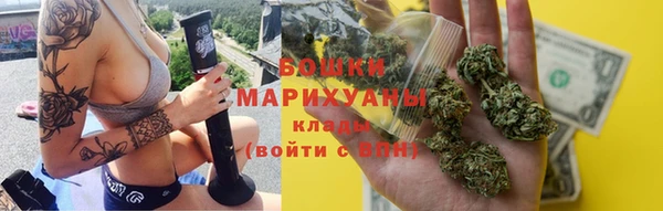 apvp Гусь-Хрустальный