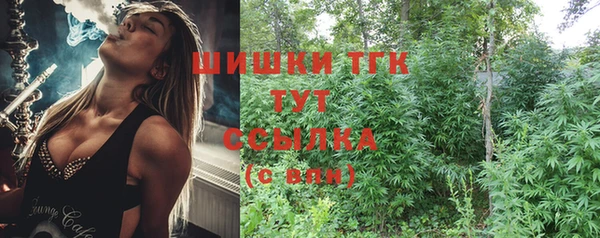 мдма Гусиноозёрск
