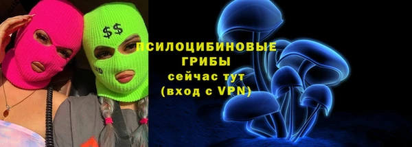 мдма Гусиноозёрск