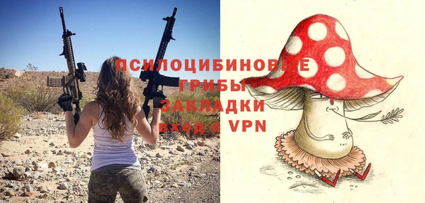 apvp Гусь-Хрустальный