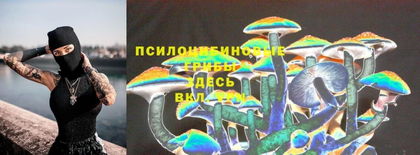 apvp Гусь-Хрустальный